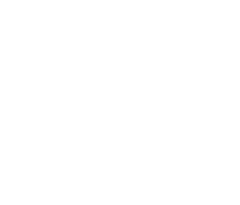 Класс Страж